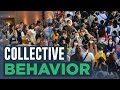 Understanding Collective Behavior Dynamics
