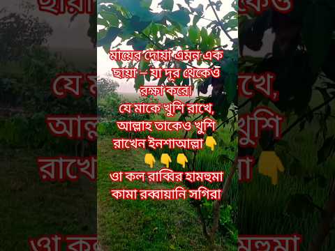 তুমি কি জানো, মা’য়ের দোয়া কখনো ফেরত যায় না #মায়েরদোয়া #ইসলামিকভিডিও #রোখসানাতুহিন #ইসলাম