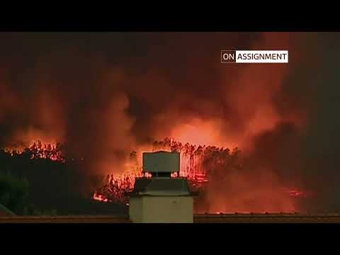 Inside Portugal's groundbreaking wildfire prevention strategy - On Assignment | ITV News