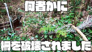 動画サムネイル