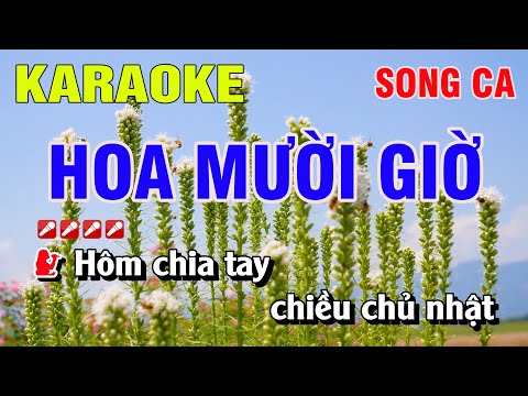 Karaoke Hoa Mười Giờ Song Ca Nhạc Sống | Nguyễn Linh