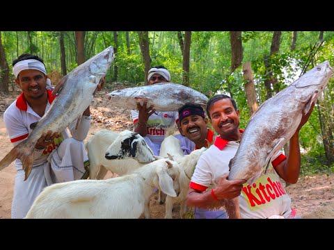 32 kg big size Sea Tangra fish recipe | Big sea fish & Mutton curry cooking for village people