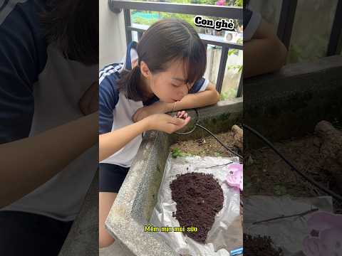 Dì ghẻ tưởng Ăn được đất #tomtaovlog #simnangvlog