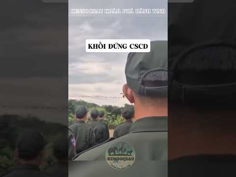 Ong đốt, kiến cắn không được gãi!!! #kensocsau #animals #nature