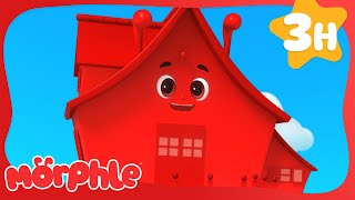 The Magical Flying House 🏠 | Fun Animal Cartoons