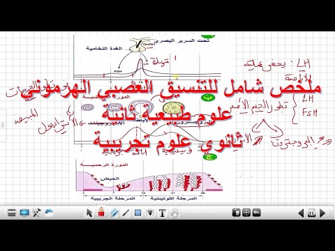 ملخص شامل للتنسيق العصبي الهرموني علوم طبيعية ثانية ثانوي علوم تجريبية