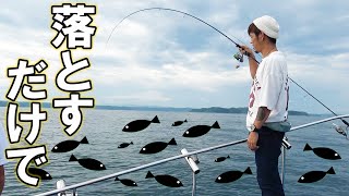 ただ真下に落とすだけの釣りが楽しすぎた！