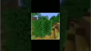 Memes 👁️👄👁️ #memes #minecraft #youtubeshorts