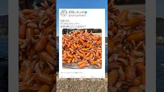 ウィンナーを食べるVtuberがヤバいwww　#天羽しろっぷ　#Vtuber #Twitter