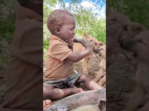 Hadzabe's children are all grown up like that #shorts #hadzatribe