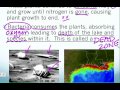 Nitrogen Impact on Aquatic Ecosystems