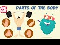 Functions of Human Body Parts
