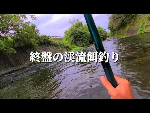 【渓流釣り】【餌釣り】終盤の渓流釣り。