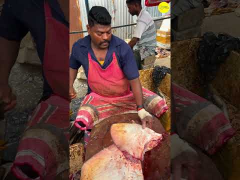 KASIMEDU SPEED SELVAM STINGRAY FISH 🐟 CUTTING VIDEO #kasimeduselvam #bigfish #shorts #youtube