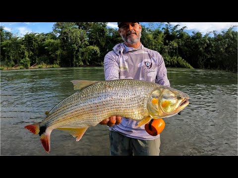 Pescando PICUDAS en el Río La Miel