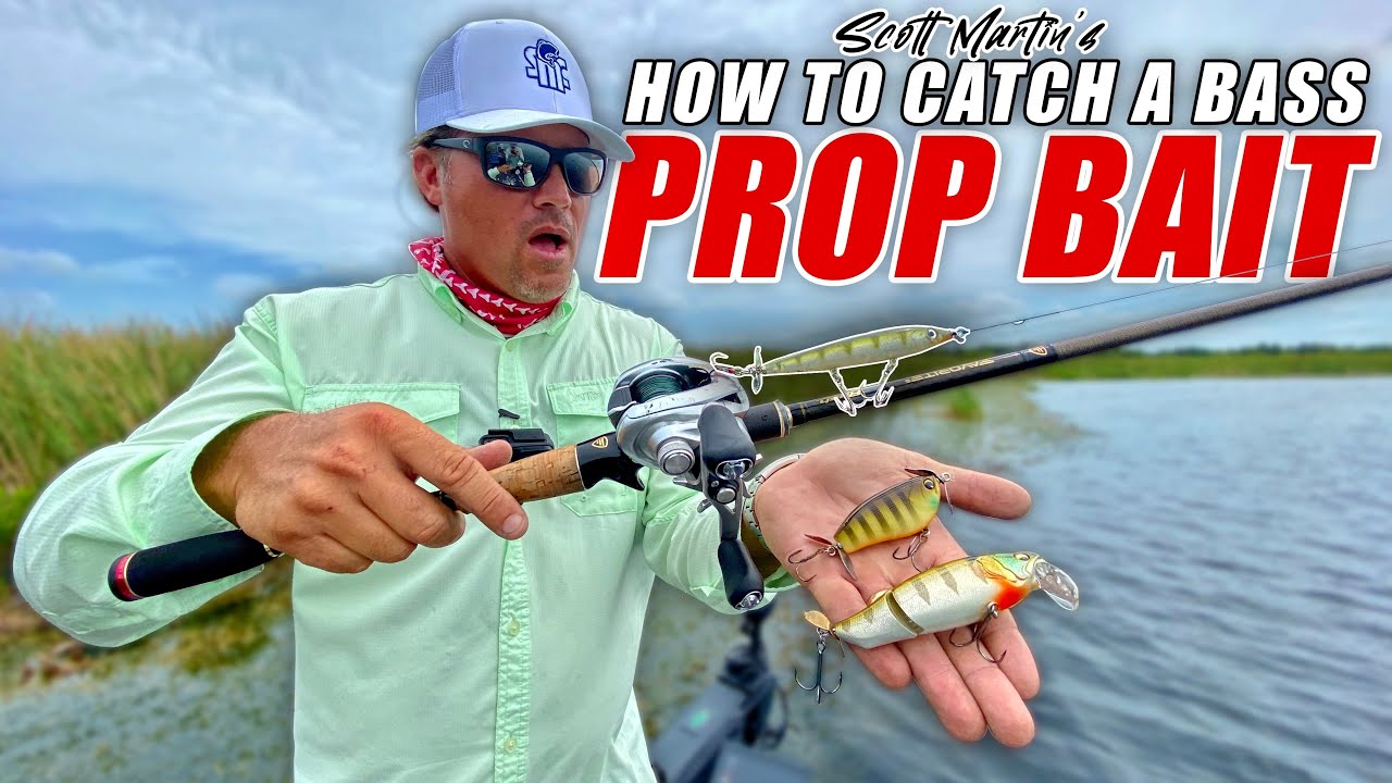 How to Catch a BIG Bass on TOPWATER Prop Baits - Scott Martin