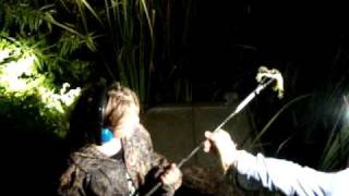 gigin frogs on the airboat