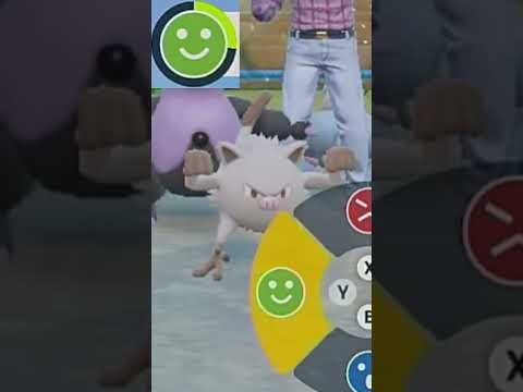 thumbnail_jdG3I2hoXhI
