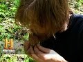 Mushroom Hunting Insights and Reflections