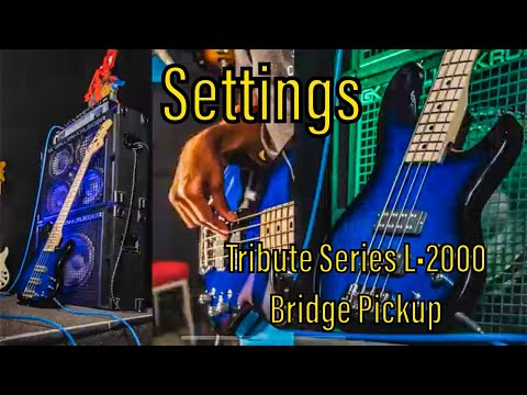 Settings: Tribute Series L•2000 Bass-Bridge Pickup