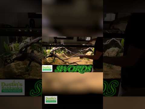 125 Gallon Aquascaping Time Lapse!