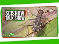 Tarantulas and Citizen Science Insights