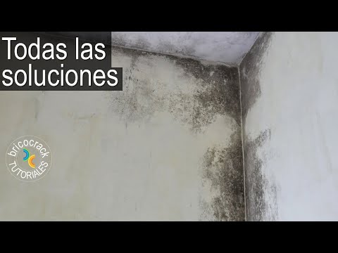 Humedad por condensación: cuál es la mejor solución (Bricocrack)