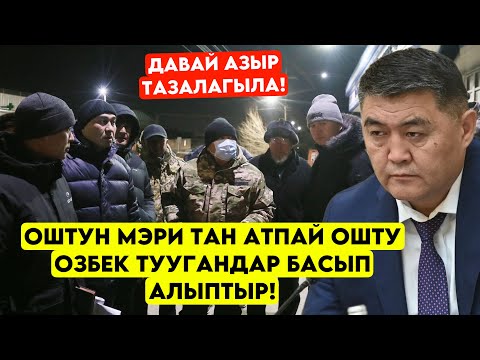 Оштун мэри Он адырды БАСЫП алышыптыр! Давай азыр тазалагыла деп ТАН атпай катуу жарылды