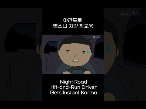 야간도로 뺑소니 차량 참교육