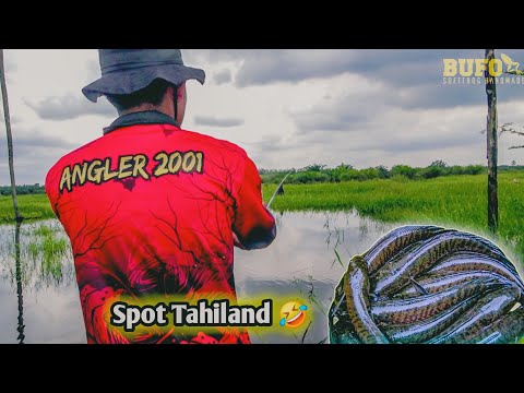 Umpan Keren + Spot Keren + Hasil Banyak = Angler Gosong 🤣🤣🤣