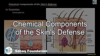 Chemical Components of the Skin's Defense