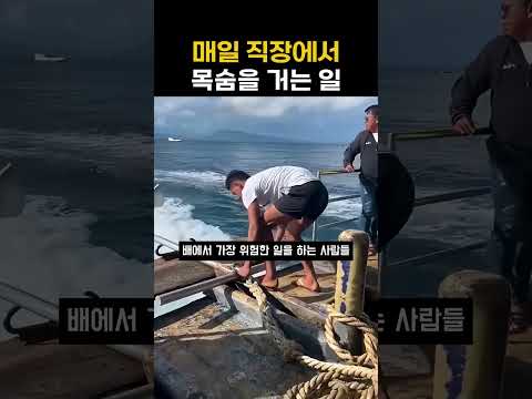<strong>매일</strong> 직장에서 목숨을 거는 사람들