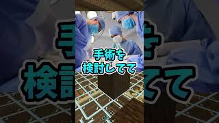 【質問】声変わりしましたか？ #shorts  #そらねこ #めろんぱーかー