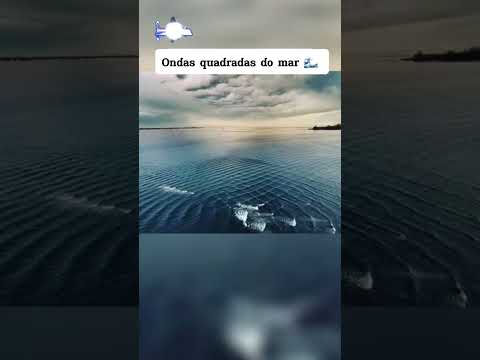 SE VOCÊ VER ISSO NO MAR FIQUE LONGE!! #youtubeshorts #curiosidades