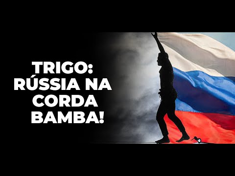 TRIGO: RÚSSIA NA CORDA BAMBA!