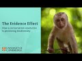 Conservation Efforts and Challenges