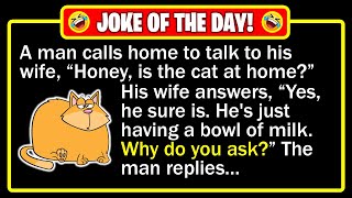 🤣 BEST JOKE OF THE DAY! - Man thinks he’s clever - cat proves him wrong... | Funny Dad Jokes