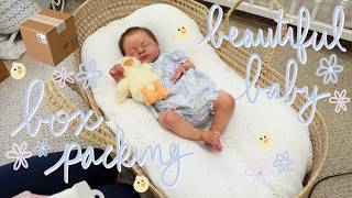 Send Home a Beautiful Reborn Baby! Custom Baby Box Packing | Kelli Maple