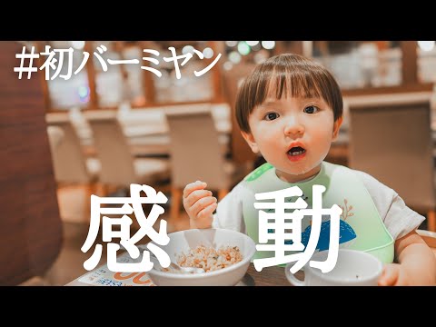【幼児食】初めてのバーミヤン！炒飯が美味し過ぎてシェフを労う２歳児が可愛い。
