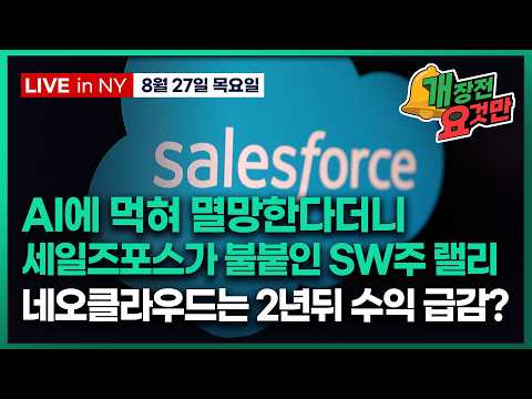 [박신영의 개장전요것만-8월27일] AI에 먹혀 멸망한다더니..세일즈포스가 불붙인 SW주 랠리 | 네오클라우드는 2년뒤 수익 급감?