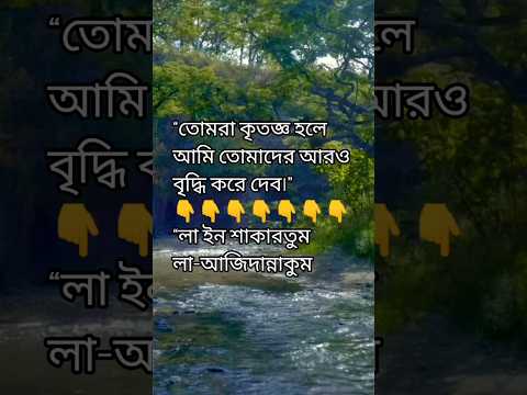 আপনি কি প্রতিদিন আল্লাহকে ধন্যবাদ বলেন❓#কৃতজ্ঞতা #শোকর #আল্লাহ #shortvideo  #mizanur_rahman_azhari