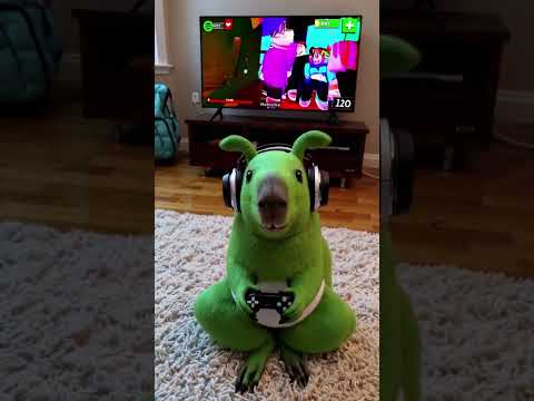 Kapy Ngày Thường: Đi Học Về – Ăn Cơm – Học Online – Chơi Roblox – Ngủ Sớm