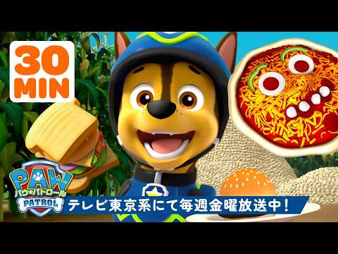 パウ・パトロール | パウ・パトロール おいしいフード大冒険＆レスキュー！🍕 | 30分 | テレビ東京系にて放送中