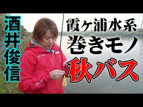 秋の霞ヶ浦水系でデカバスを狙う！酒井俊信が巻きモノをテーマに釣りを展開する 『バスギャラリー』【釣りビジョン】