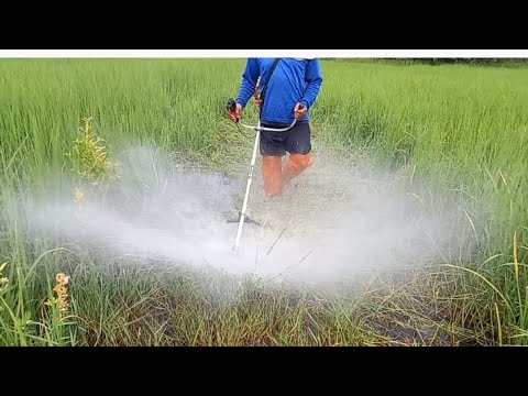 ตัดหญ้าคันนาที่มีน้ำท่วม โดยใช้ใบวงเดือน 40 ฟัน จะตัดได้ไหม