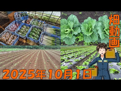 【25/10/1】やる事が少ないなってきたので、10月は休むぞ！ww