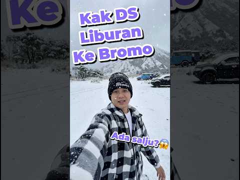Kak DS dan mas Matin jalan jalan ke Bromo #davidsunairi #anakdesa #minivlog