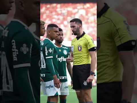 Verdão fez o Pix maior 😂. #ia #palmeiras #futebol #flamengo #naçãorubronegra #palestraverde #meme