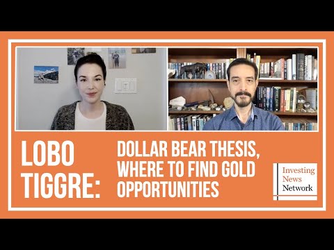 Lobo Tiggre: Dollar Bear Thesis, Where to Find Gold Opportunities