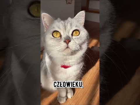 A jak to u Was wygląda ??